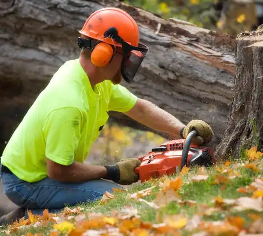 tree services Gunnison